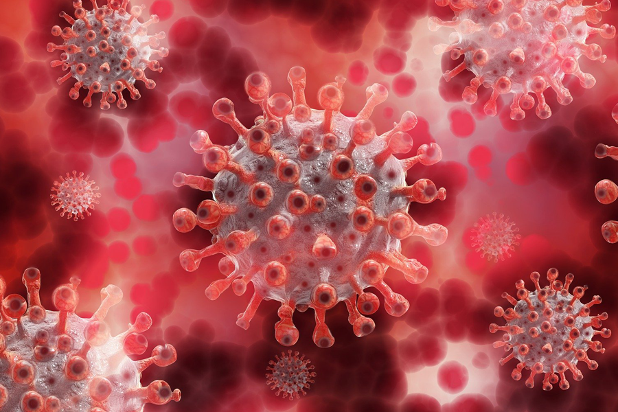 Respiratory Pathogen Panel (RPP) Testing